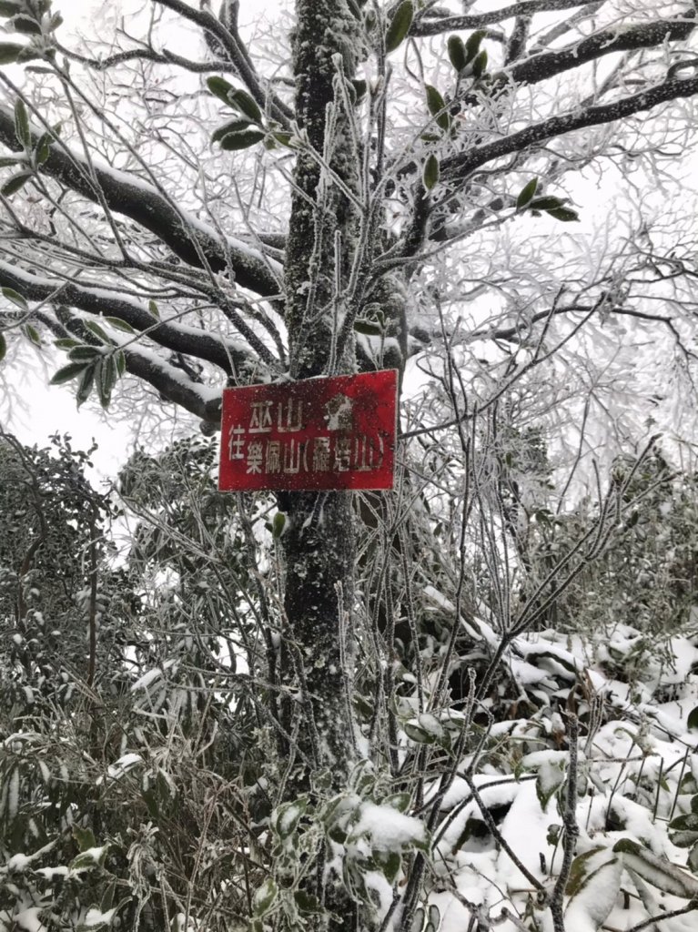 “那一夜，祂白了頭” @卡保山_1233820