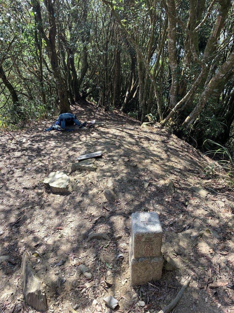 20240212屏東鱈葉根山-日湯真山縱走_2431683