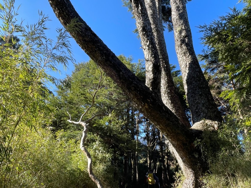 一日南橫二星人品爆發_2995776
