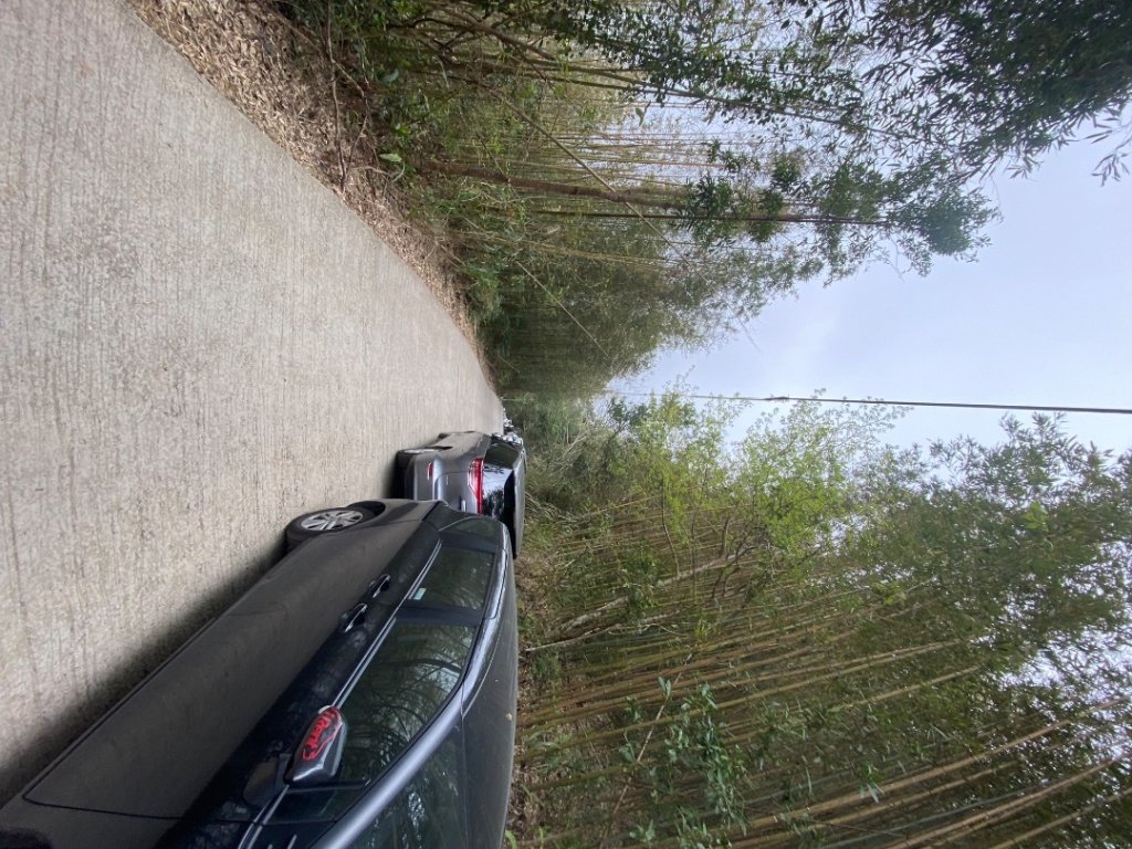 新竹尖石-高島縱走_2612742