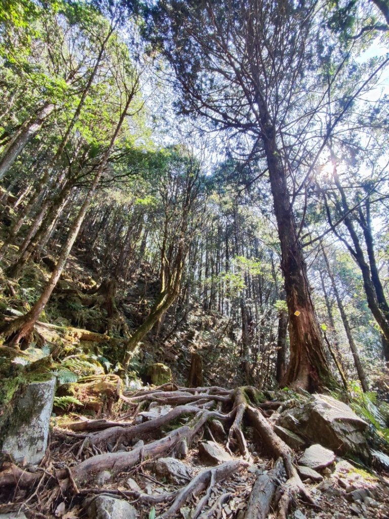 八仙佳保_2746093