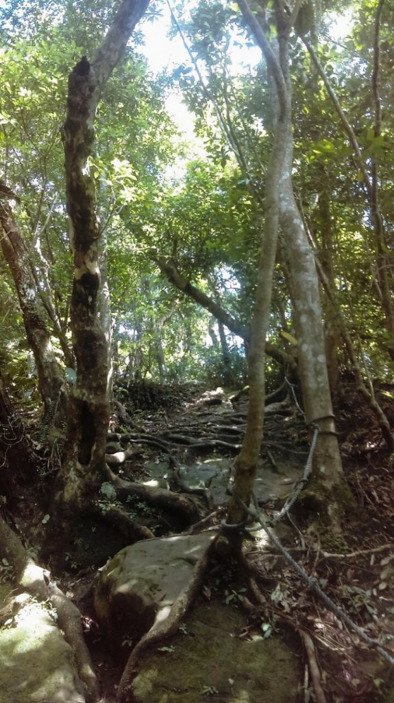 薯榔尖山、石筍尖山O走_656784