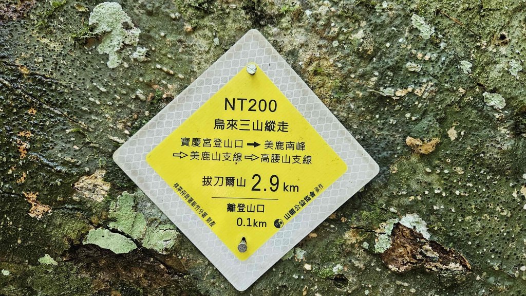 20250730烏來三山下紅河谷_2848718