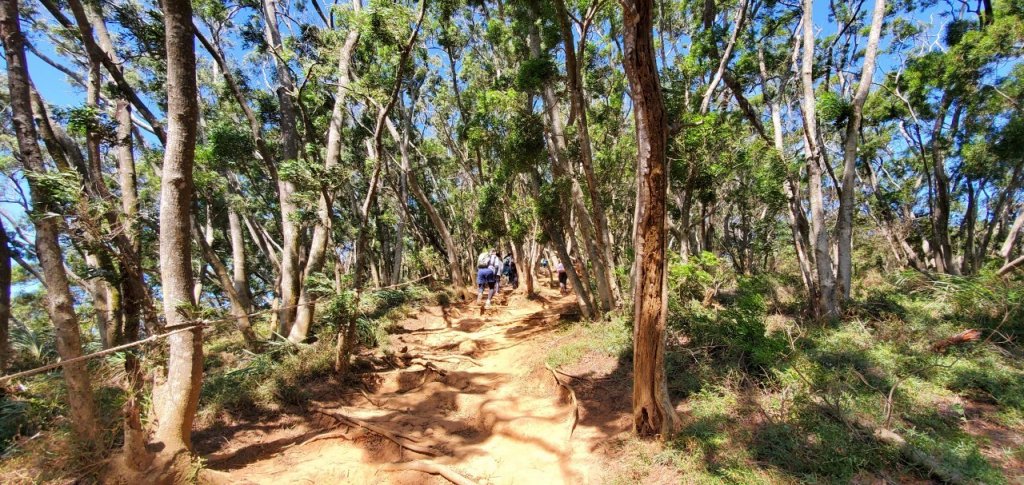 2021-10/17-苗栗三義-火炎山_1492404