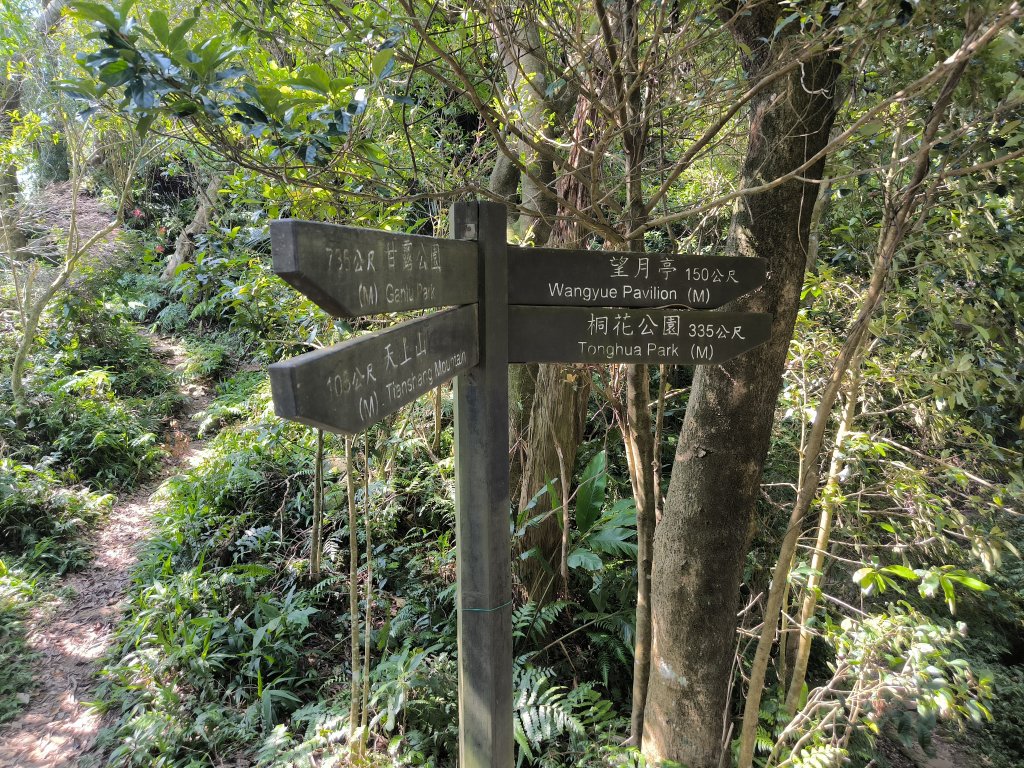 20250830天上山、旺旺嶺、太極嶺_2874098