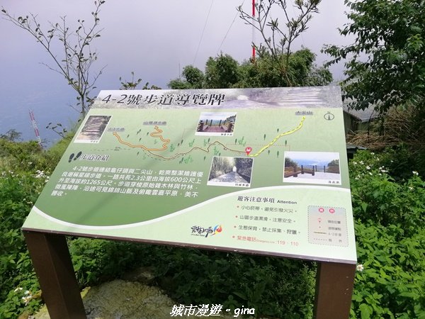 【雲嘉】超美的茶園竹林風光。小百岳集起來。#56小百岳雲嘉大尖山x二尖山x馬鞍山x#57小百岳梨子腳_1453663