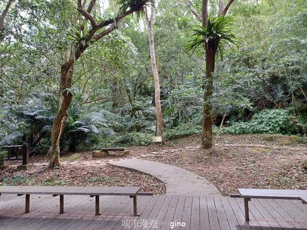 【苗栗南庄】沿途潺潺溪水聲。 蓬萊溪護魚步道_2688910