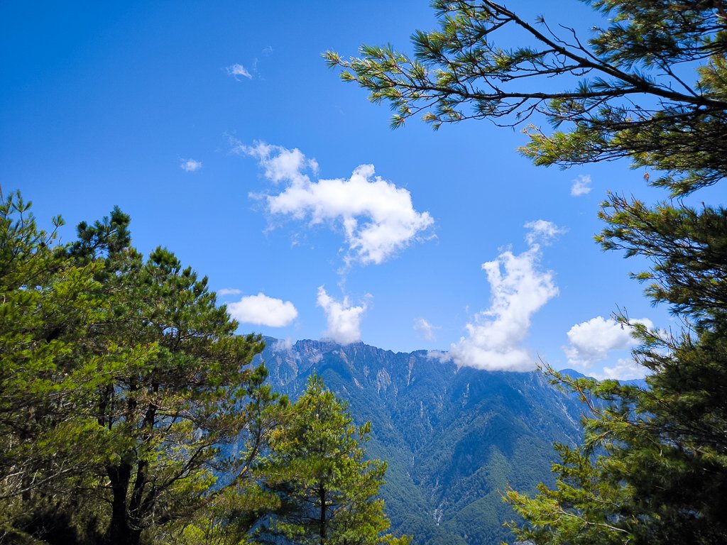 2025-08-24 塔塔加-大鐵杉-鹿林山莊-鹿林前山-鹿林山-黑森林-玉山登山口-上東埔_2869136