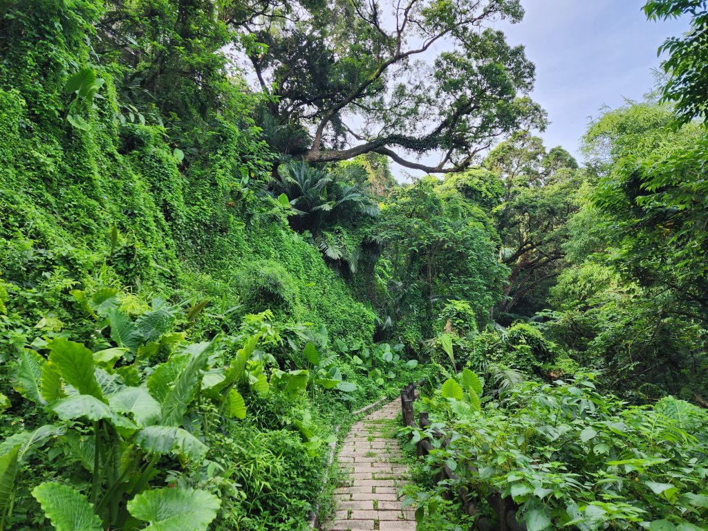 蓮華山古道群_2395217