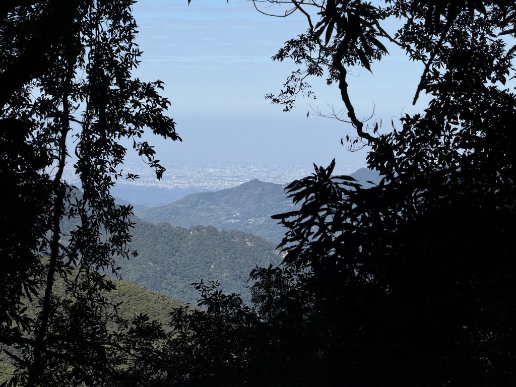 山毛櫸掉光光的 卡保逐鹿O繞 20251115_2937453