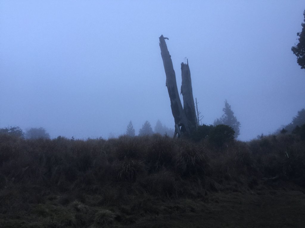 散落的珍珠-加羅湖_565153