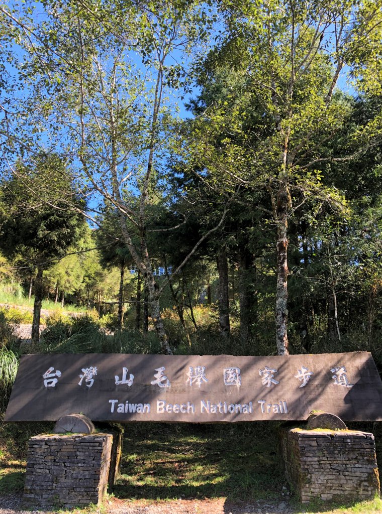 漫步探訪台灣山毛櫸國家步道_965859