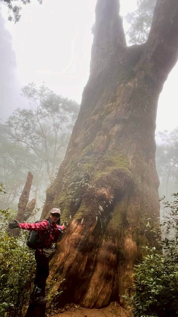 🌈12/28（日）北得拉曼神木+內鳥嘴山✨FB：熊熊趴爬走🌈_2971269