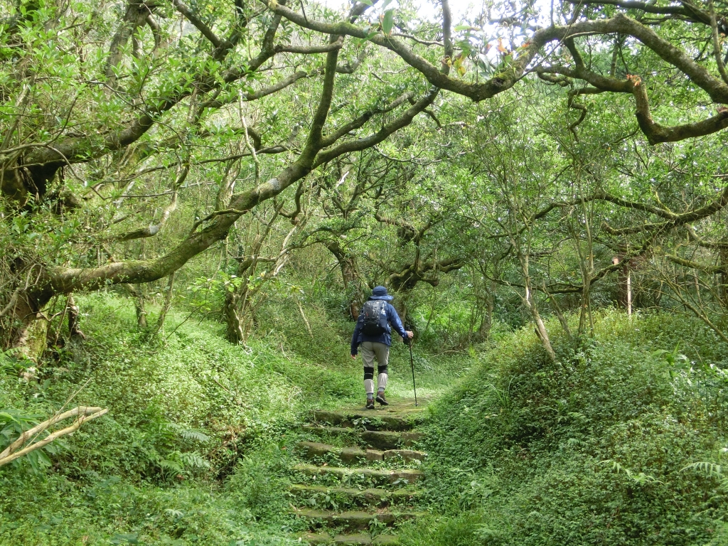 大屯坪．大屯山主峰_94911