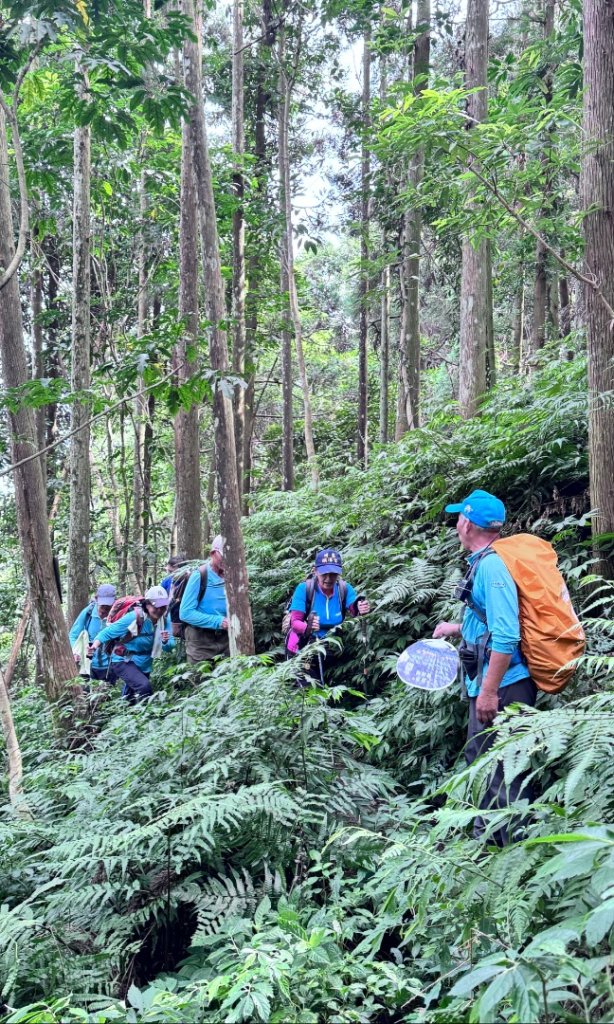 光天高山 - 向天湖山(小百岳32) 小O一圈_2876927