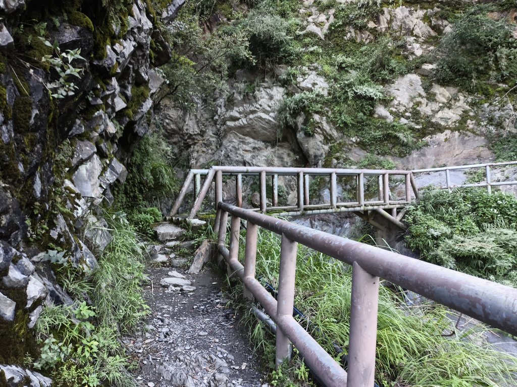[玉山尋寶任務-07/12] 2025_0824 八通關雲龍瀑布步道_2870686