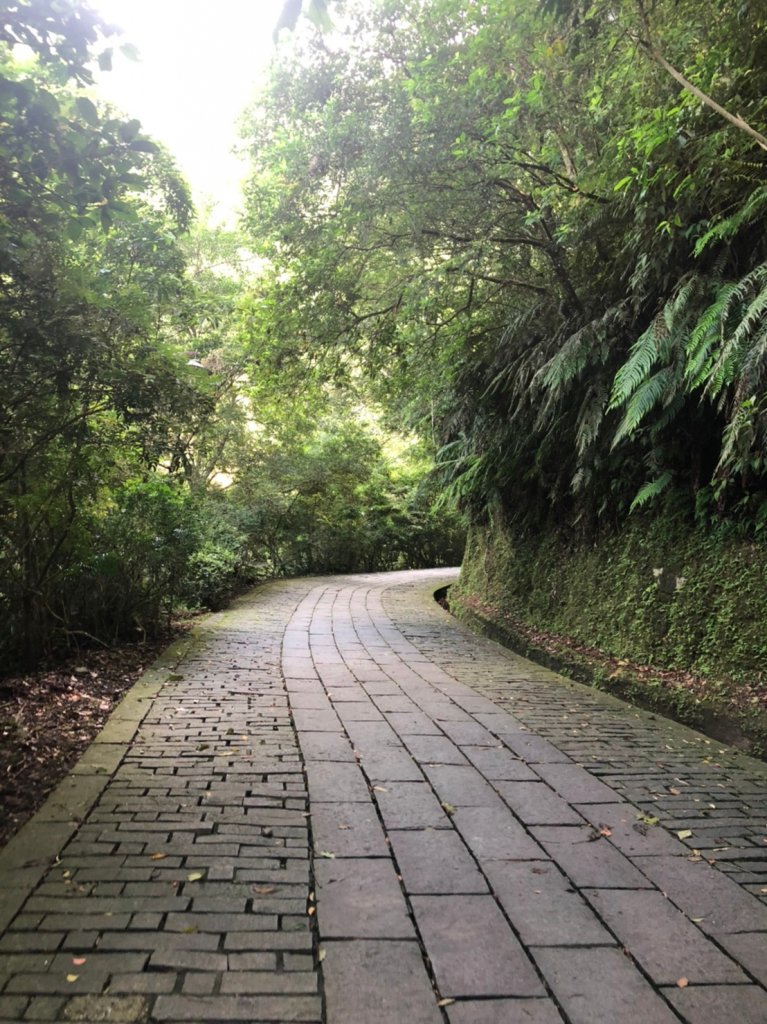 療癒系抹茶山，小百岳三角崙山，五峰旗瀑布_1029909