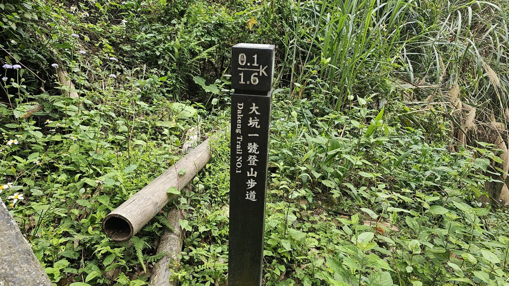大台中大縱走南觀音山頭嵙山三汀山段_2454542