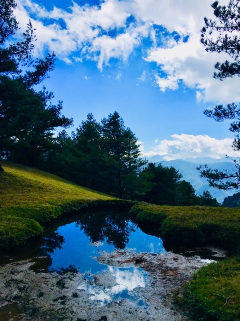 1061231麟趾山.鹿林山_303297