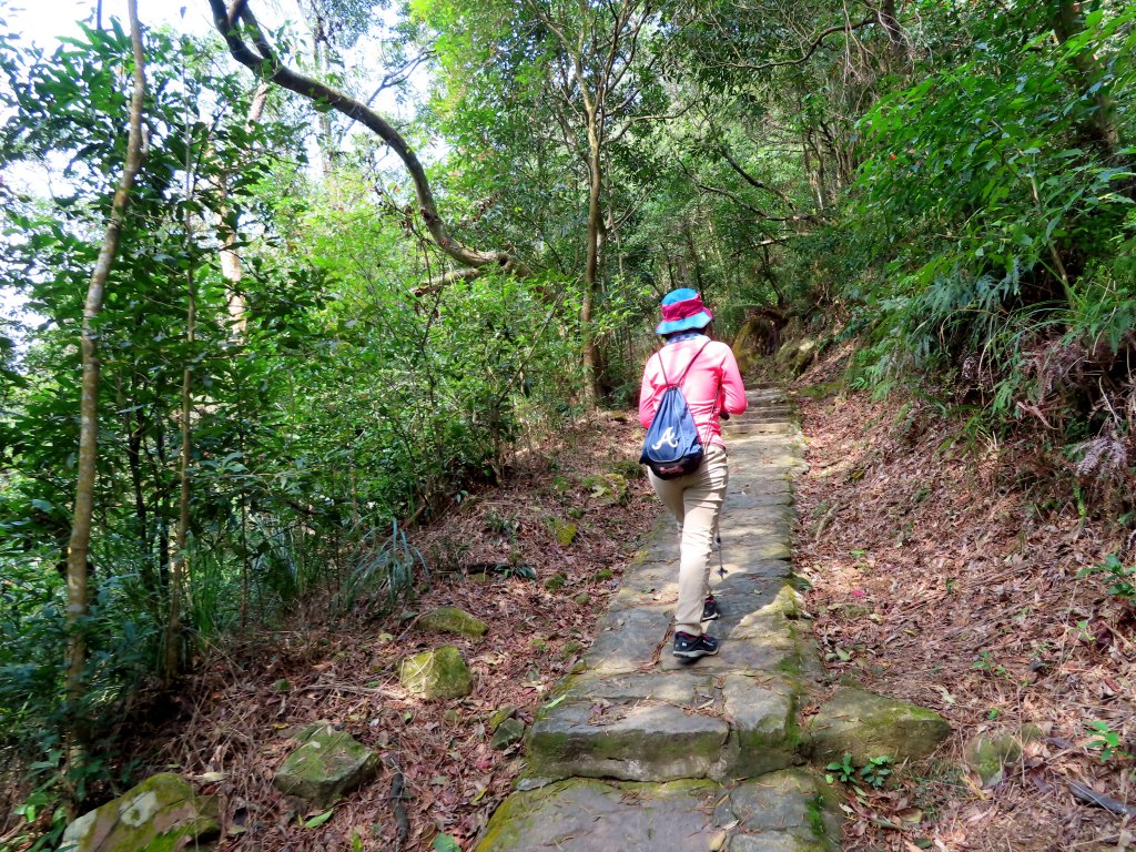 跟著花開去旅行：碧山巖櫻花及大溝溪花海_870126