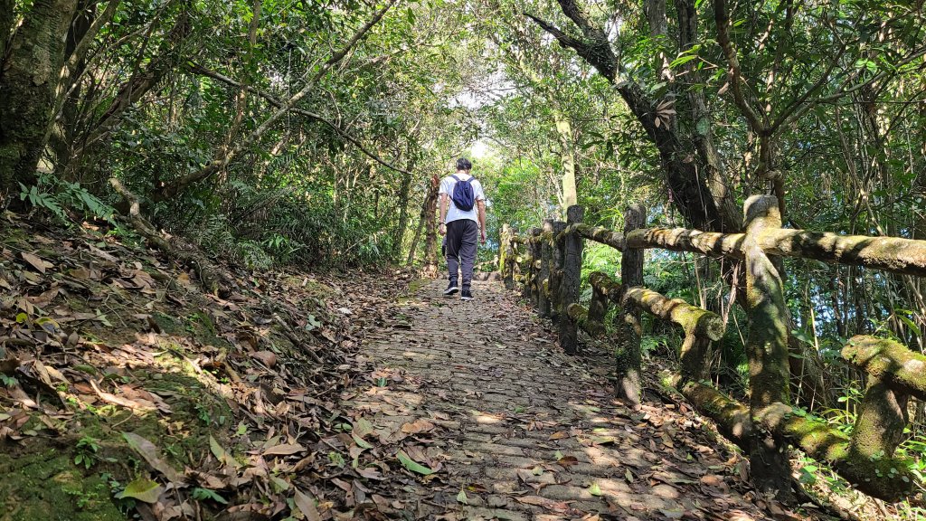 2021-0215 二格山櫻花步道_1270670