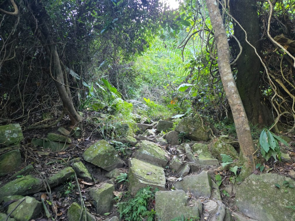 水雲三星～上島山（鳥嘴山）_2931227