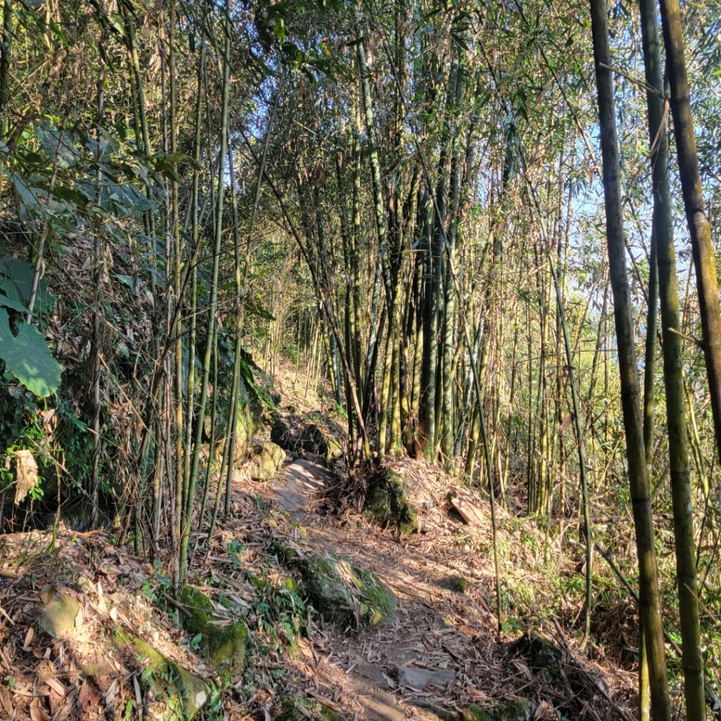 馬那邦山、細道邦山（小百岳）_2435545