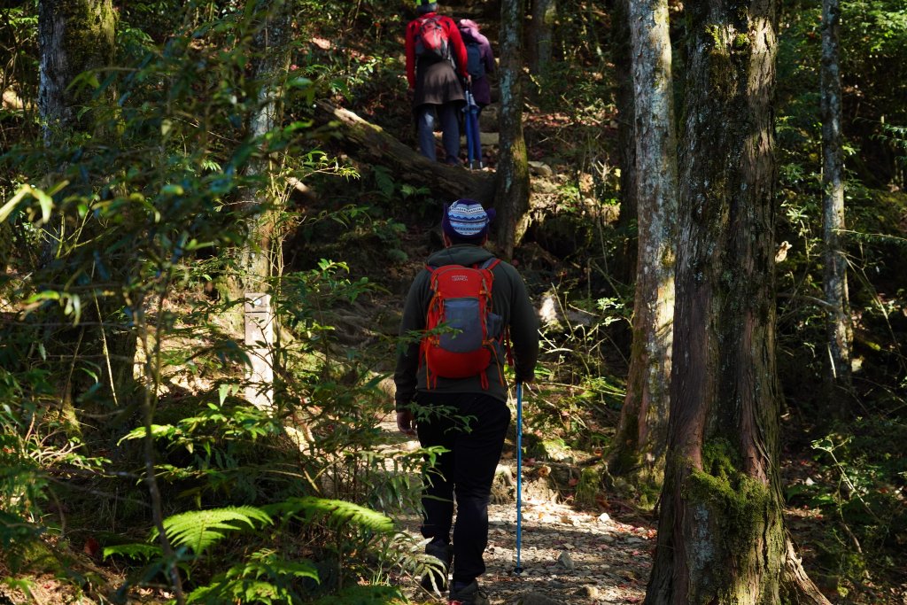 台中和平區 鳶嘴西稜下稍來南稜_1968158