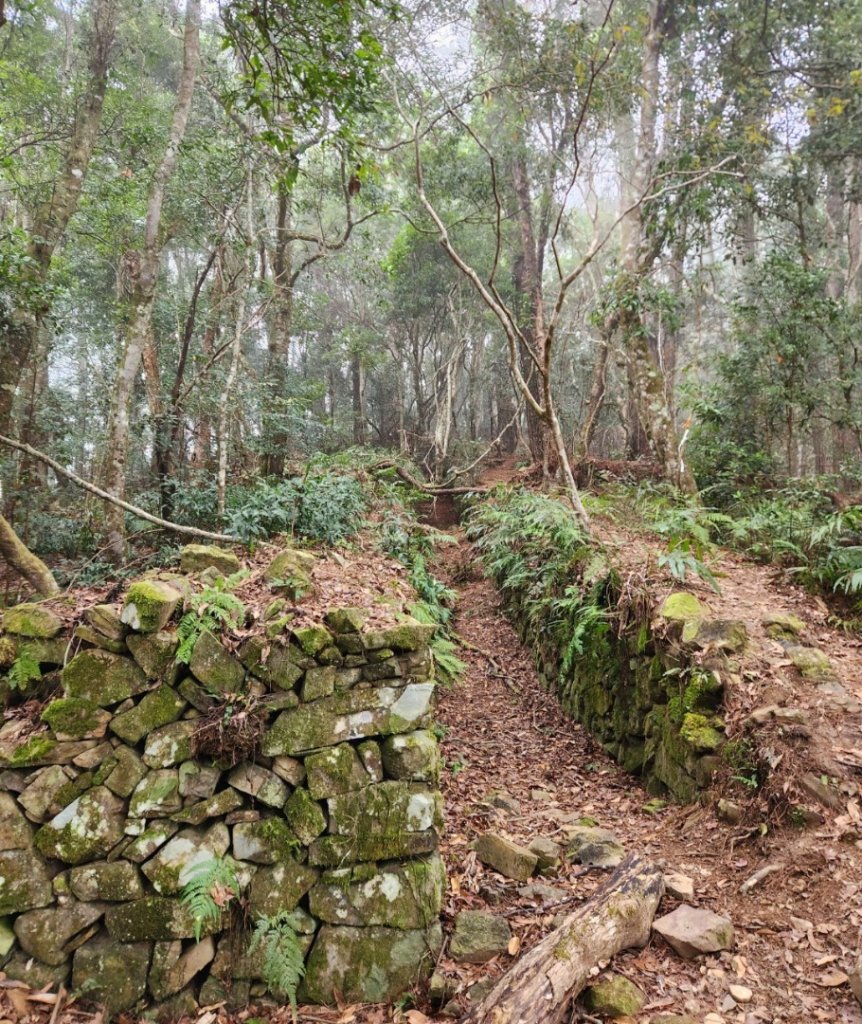 【中級山】芝生毛台山，芝生毛台山西峰，秀巒軍艦岩，屯野生步道，屯野生砲台_2745110