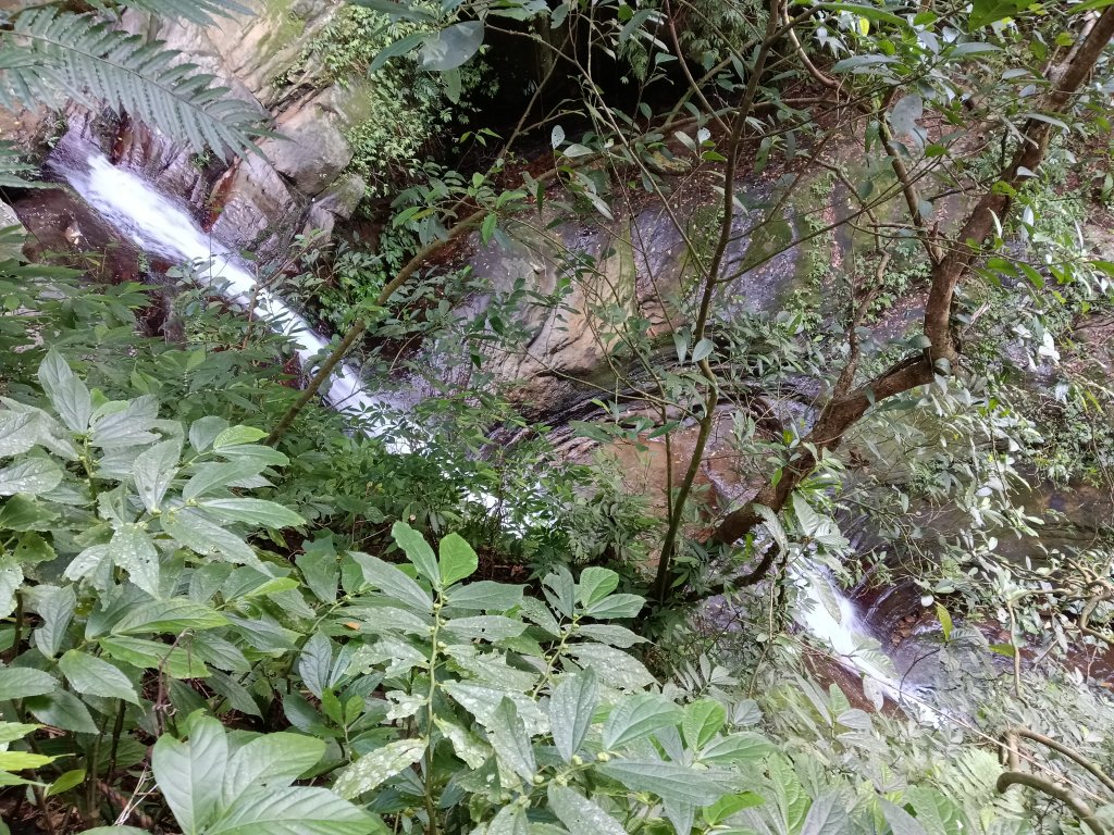 汐止區茄苳越嶺古道+上鹿窟崙山+九層坪山+四分尾山+大尖山8字走_2981537