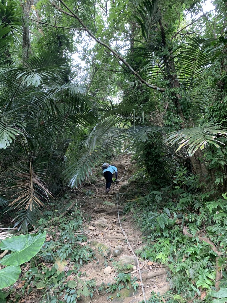 20231111台南烏山縱走_2354188