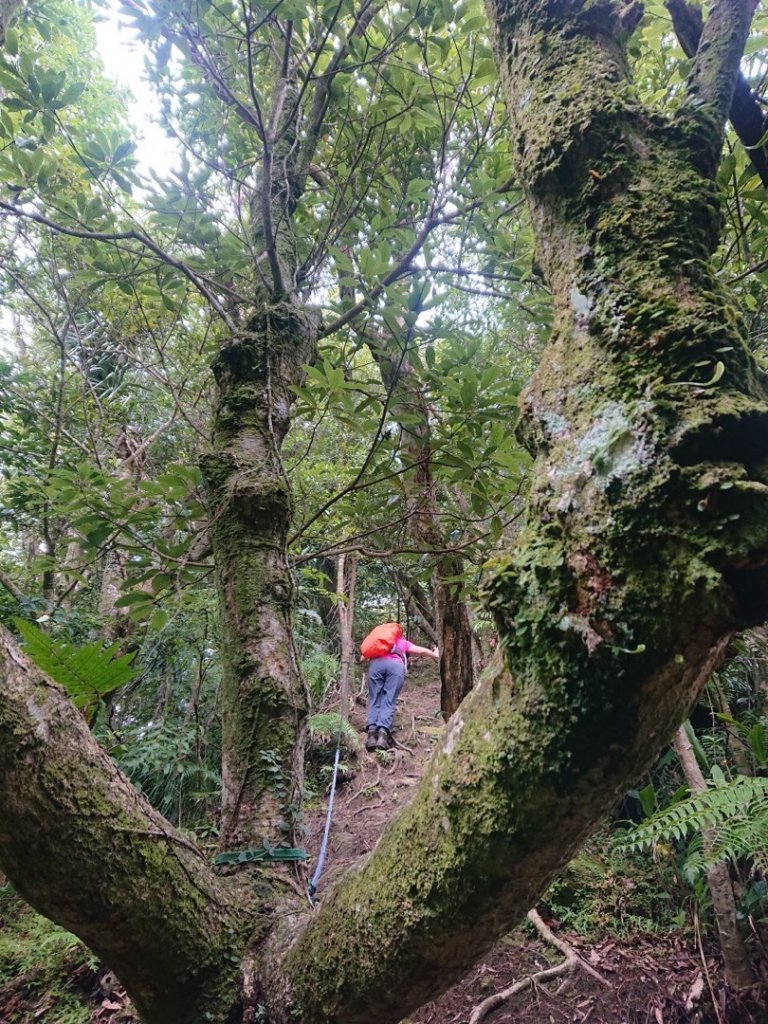 畝畝山、青林山、石古井、石硿子瀑布、石硿子古道O走_1492831