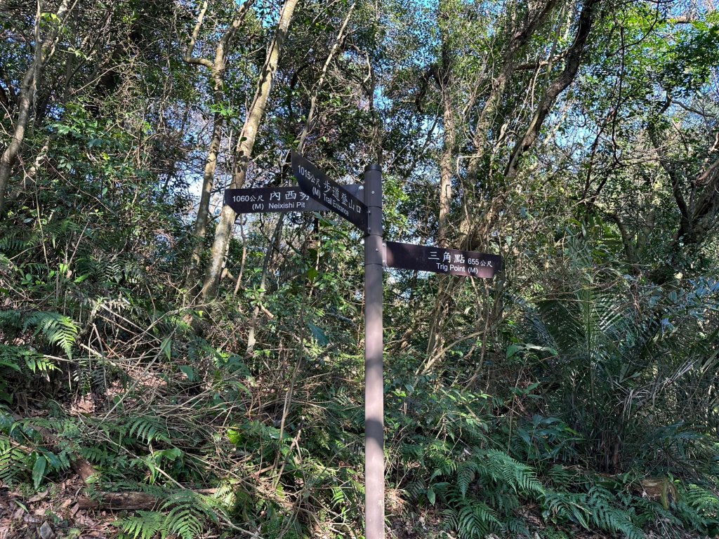 360度無敵展望的姜子寮山_2028752