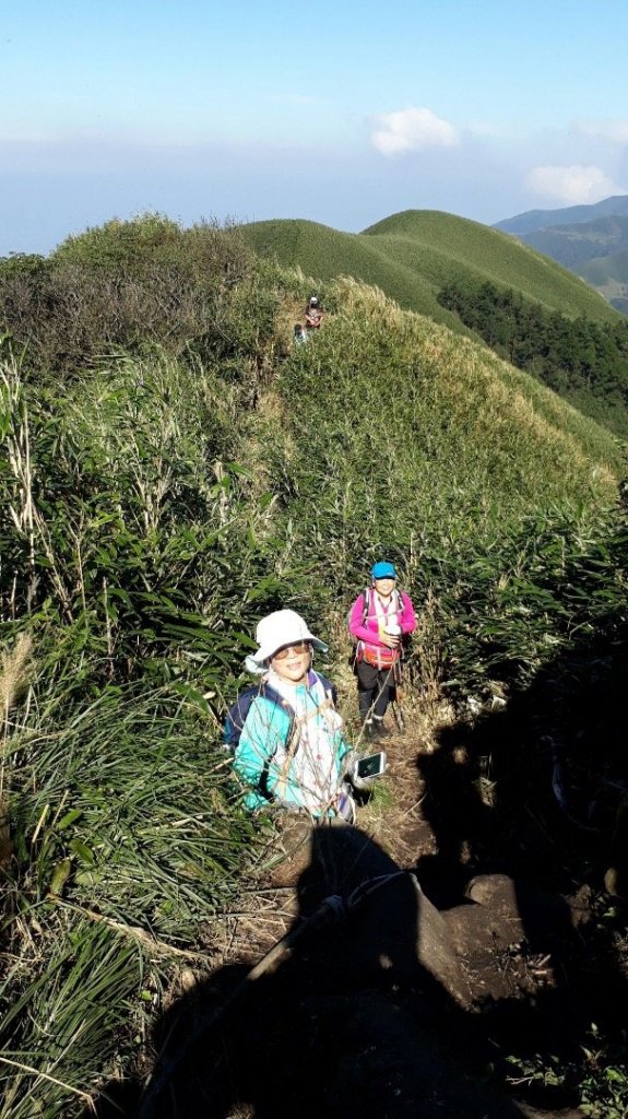 陽明山小觀音山_471869