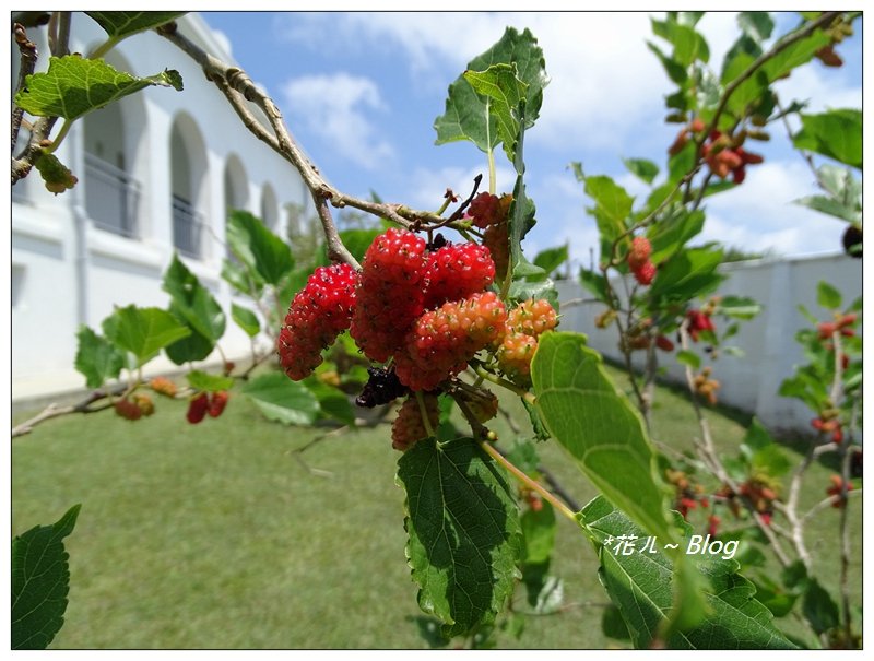 鵝鑾鼻/燈塔步道_635144