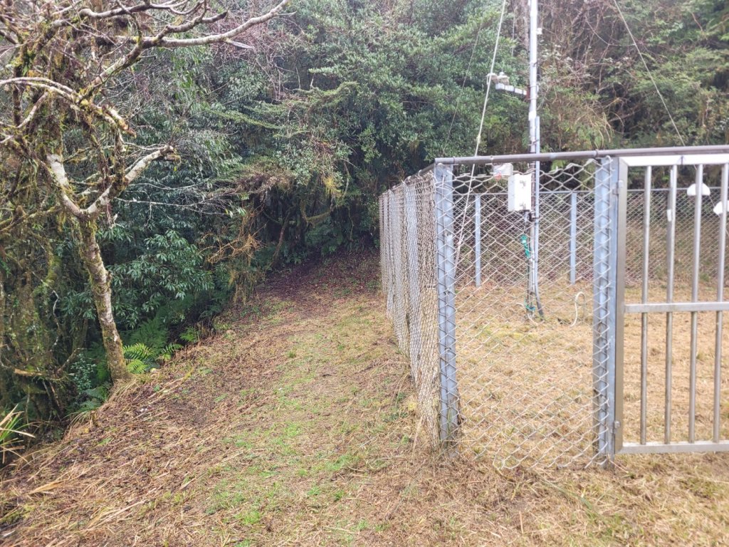 福巴越嶺古道 達觀山 檜山_2016625