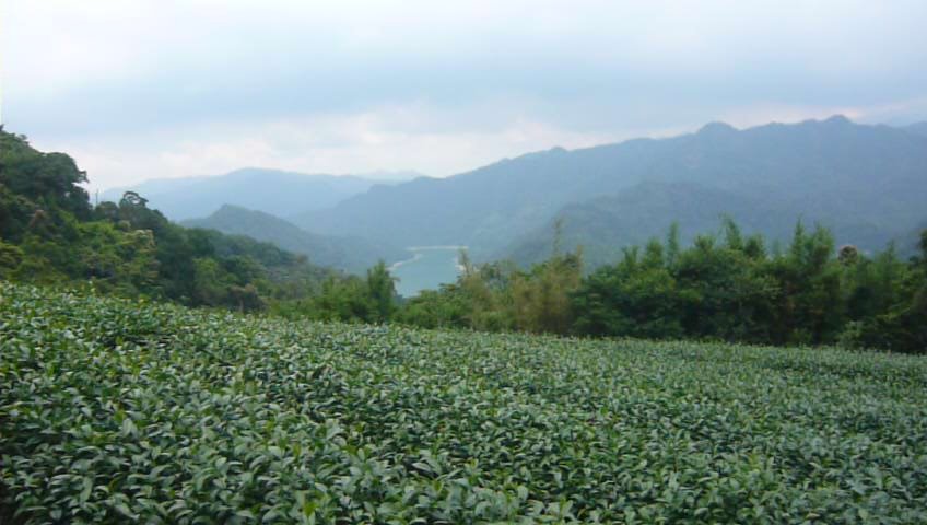 千島湖封面圖