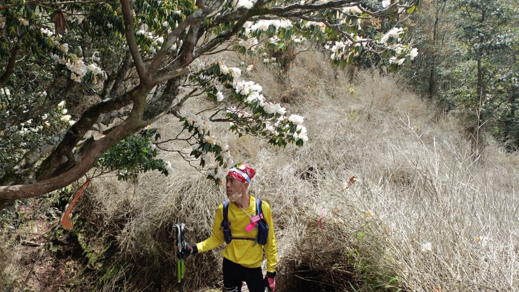 我音山~丁字山~關刀山~守關山~ 守城大山~有勝山2022年4月4日_1663902