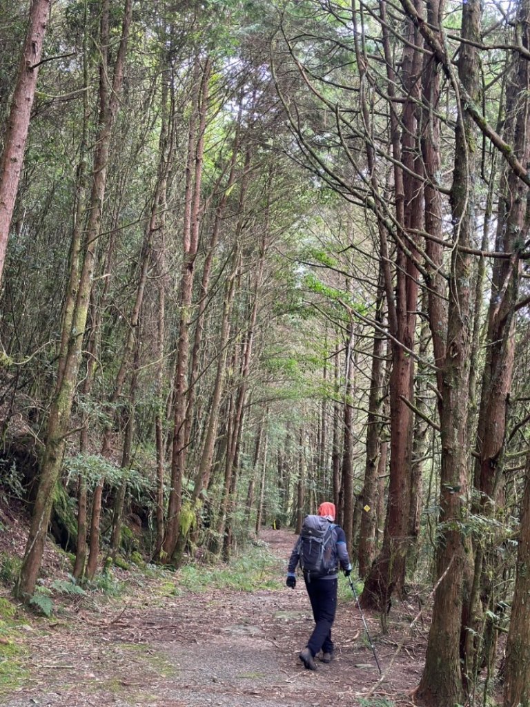 🥵20231107南一段會繞過🤷忘記的溪南山_2340049