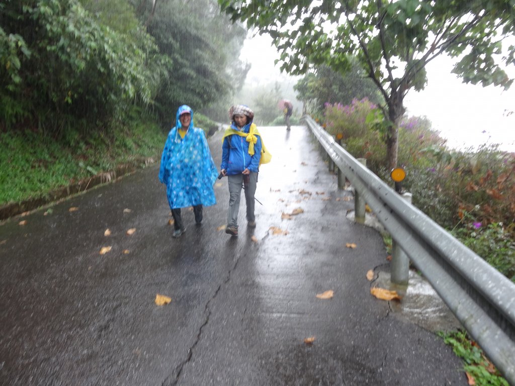 石碇湳窟山步道_1743411