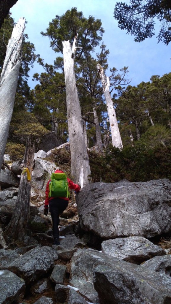 一日單攻白姑大山_821414