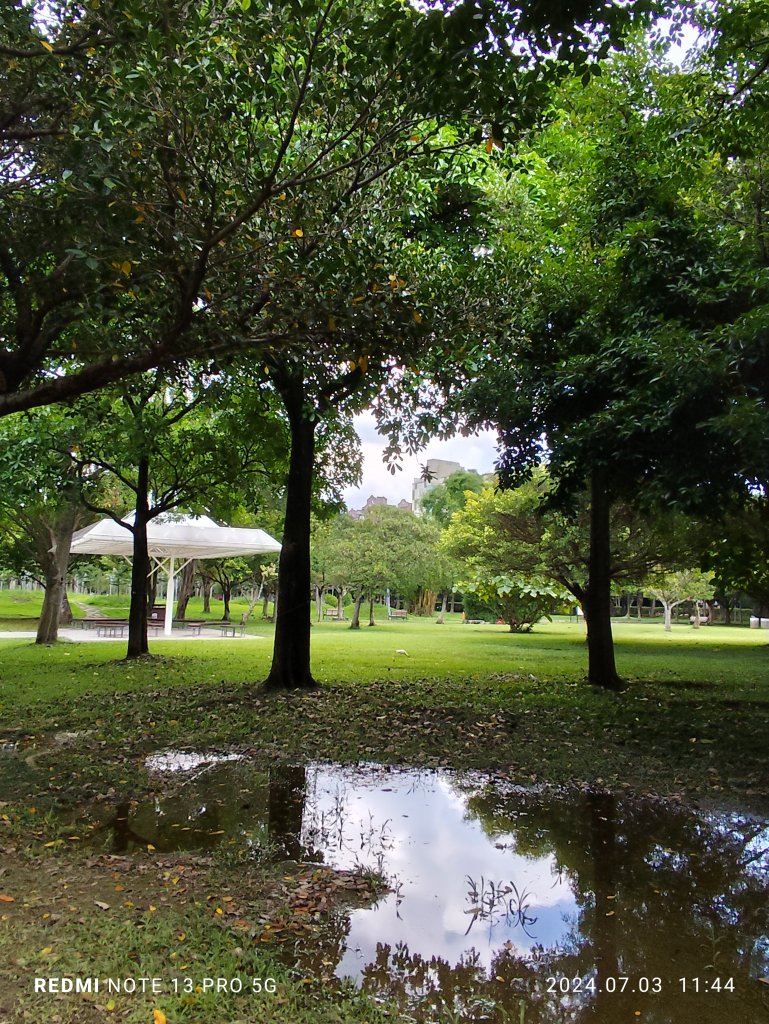 大安森林公園【走路趣尋寶】【臺北健走趣】_2541488