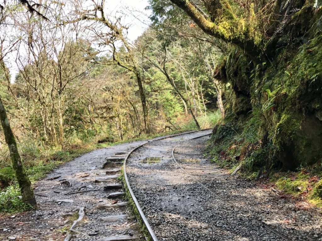 雨霧散遊太平山_885916