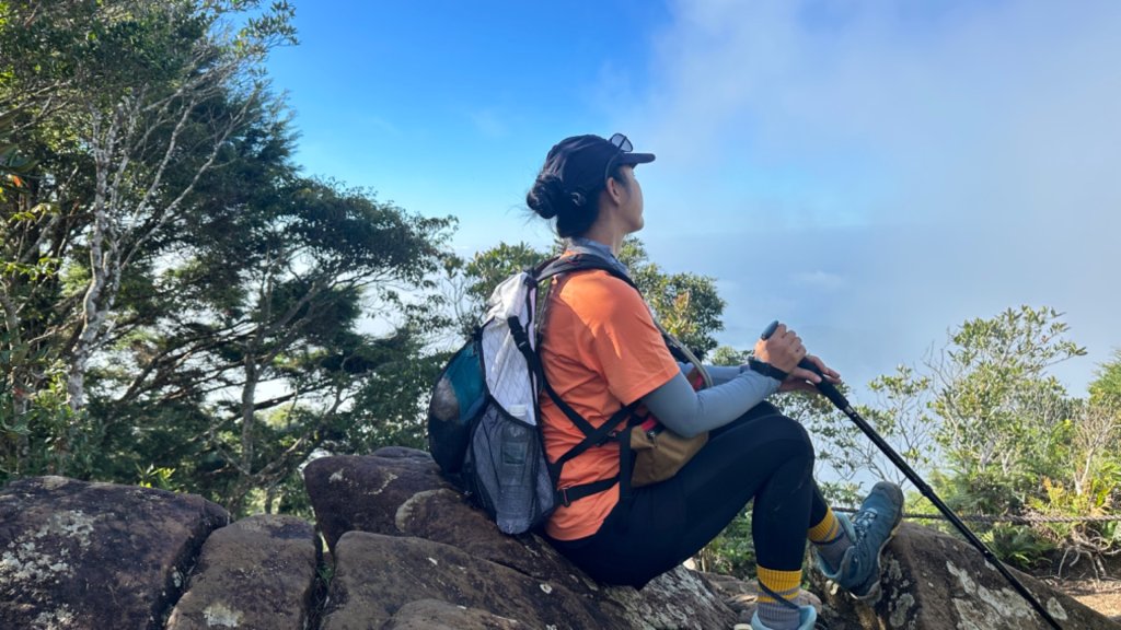 北德拉曼內鳥嘴封面圖