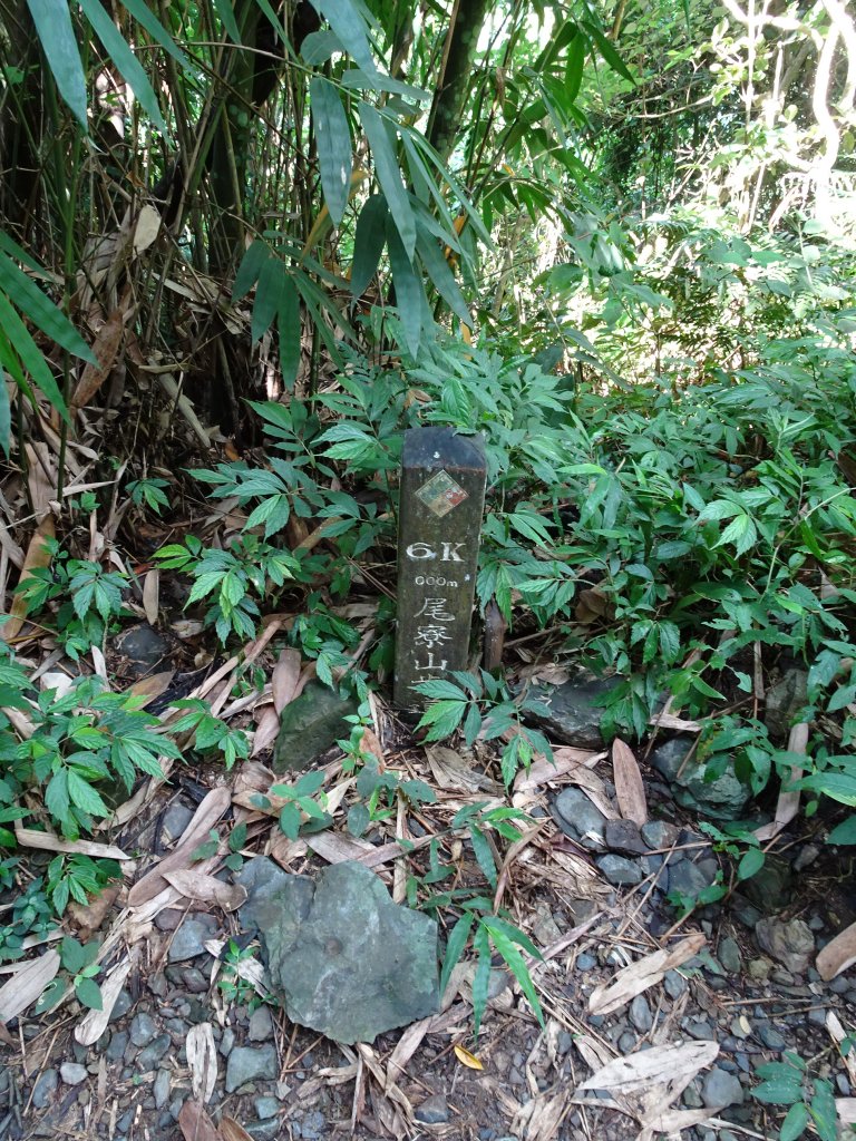 台灣小百岳第73座-屏東高樹-尾寮山_1105680