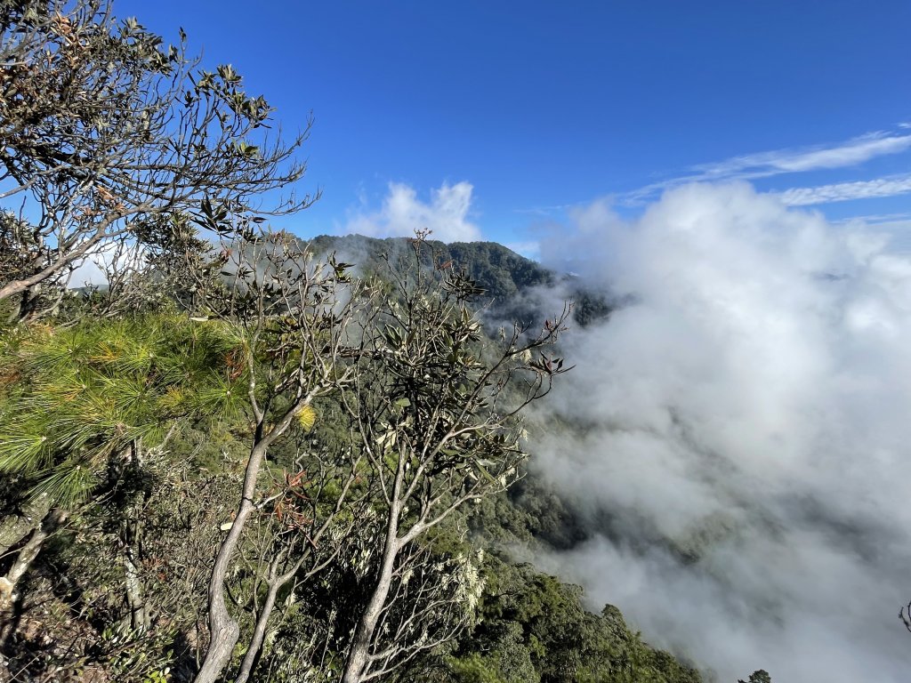秋天的饗宴～鳶嘴山雲海＋稍來山楓葉_1965645