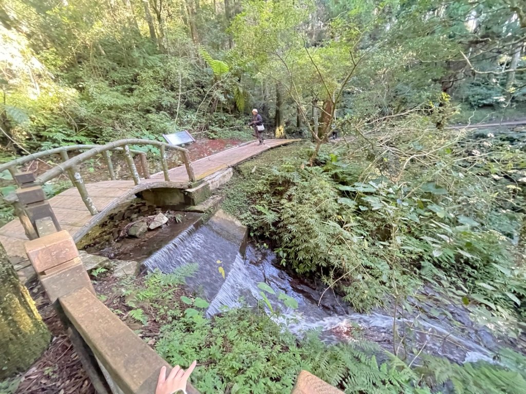 東眼山 自導式步道 三角點_2975872