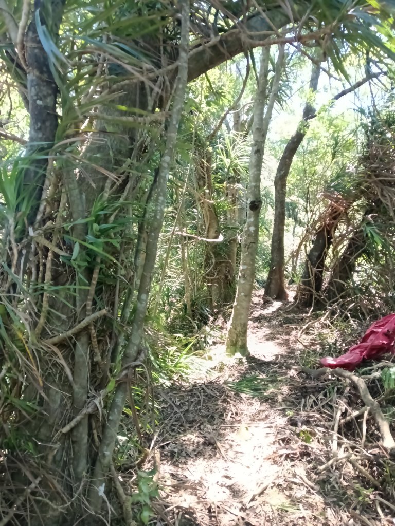 平溪區平湖尖+南山坪山+司公碗帽山+和尚尖O型_2810766