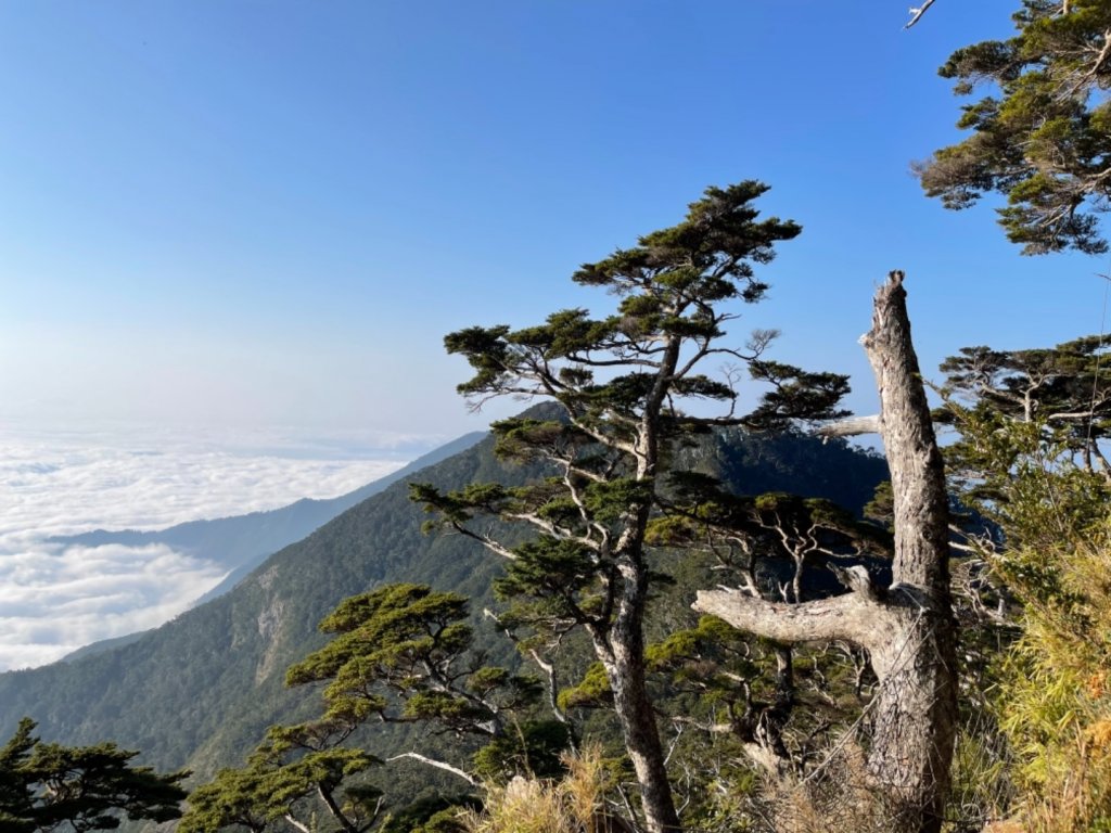 見證最美麗北大武山雲海、鐵杉_1319014