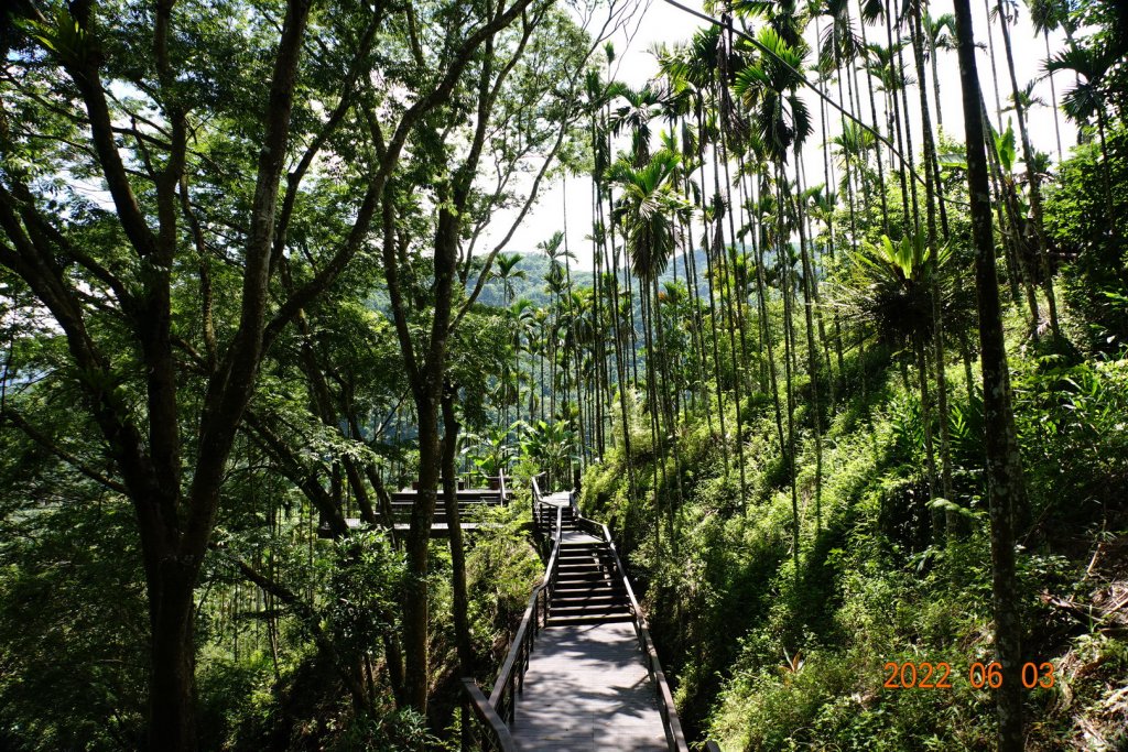 嘉義 梅山 太興飛瀑_1730008